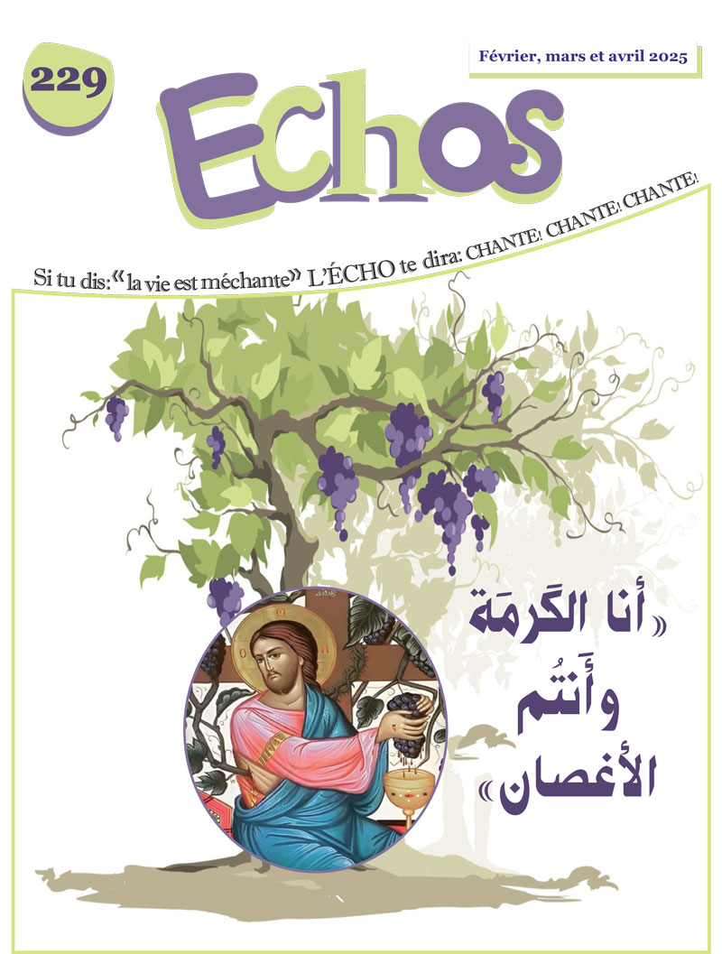 ECHOS 229